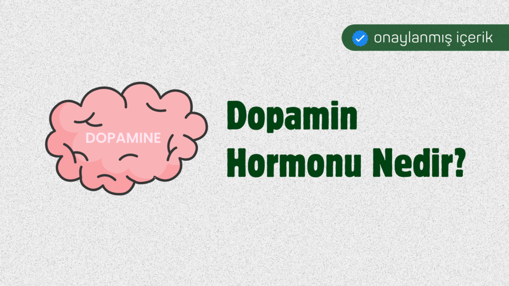 Dopamin Hormonu Nedir? Ne İşe Yarar?